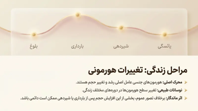 نقش هورمون‌ها در بزرگ شدن سینه