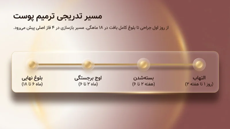 مسیر تدریجی ترمیم پوست
